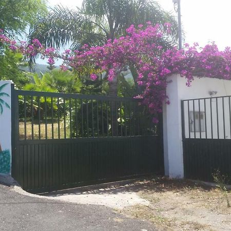 Finca Las Palmeras Icod De Los Vinos Zewnętrze zdjęcie