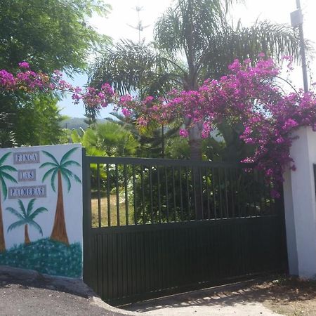 Finca Las Palmeras Icod De Los Vinos Zewnętrze zdjęcie