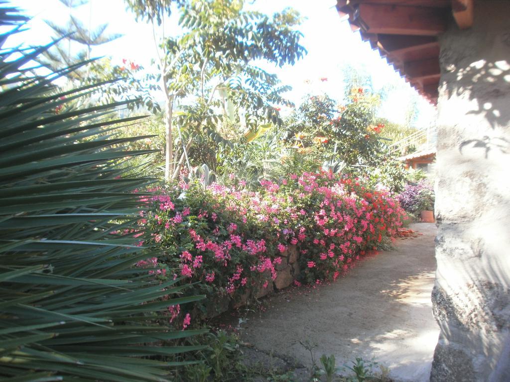 Finca Las Palmeras Icod De Los Vinos Zewnętrze zdjęcie
