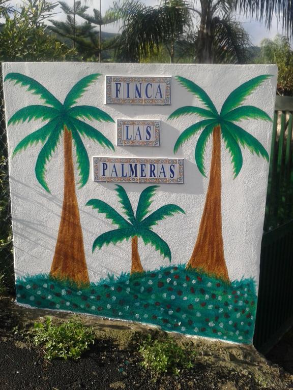 Finca Las Palmeras Icod De Los Vinos Pokój zdjęcie