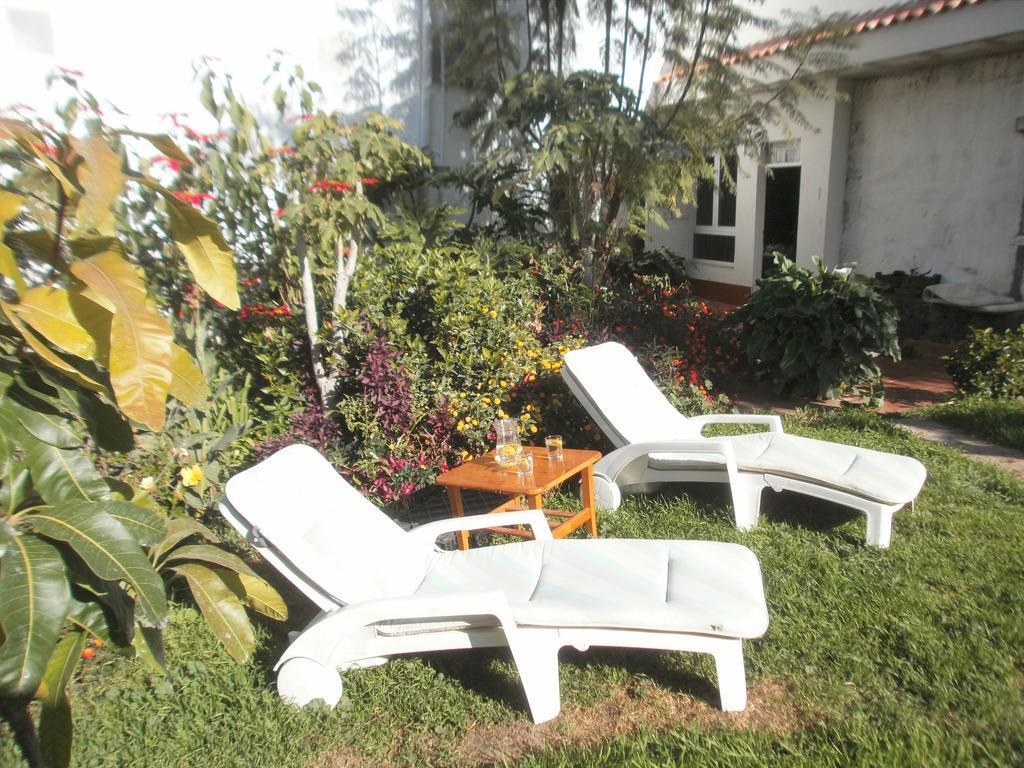 Finca Las Palmeras Icod De Los Vinos Zewnętrze zdjęcie