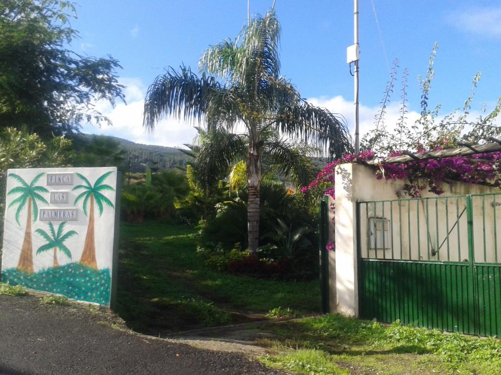 Finca Las Palmeras Icod De Los Vinos Zewnętrze zdjęcie