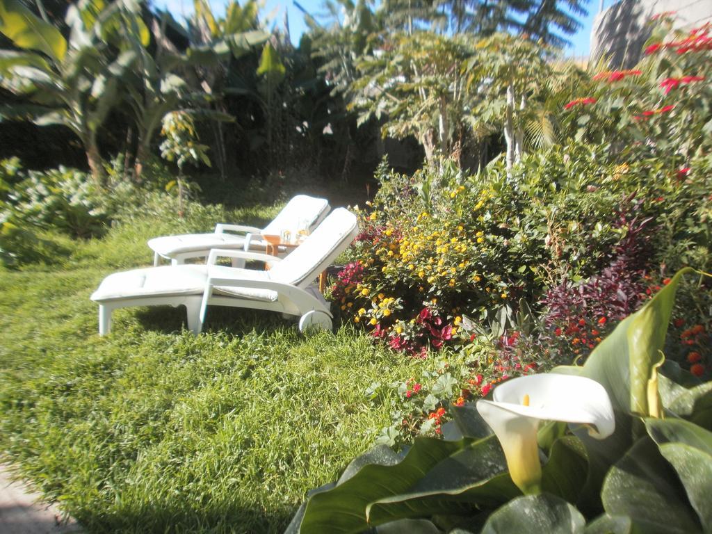 Finca Las Palmeras Icod De Los Vinos Pokój zdjęcie