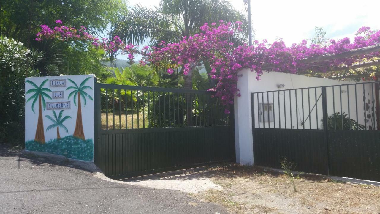 Finca Las Palmeras Icod De Los Vinos Zewnętrze zdjęcie